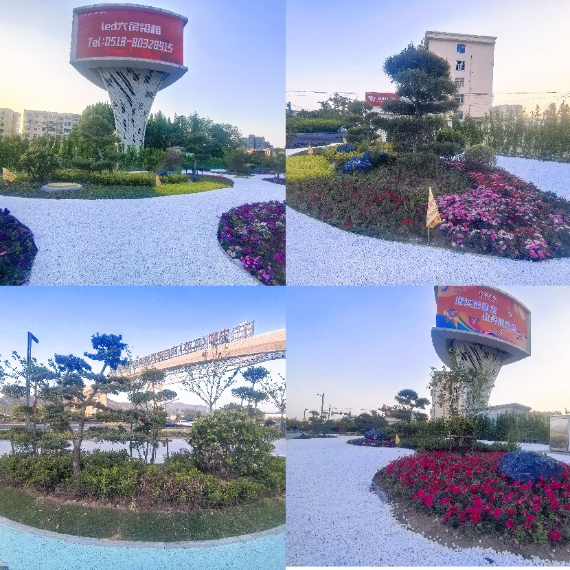 上網